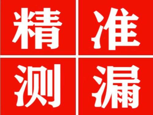 通道尚嘉漏水精准查找